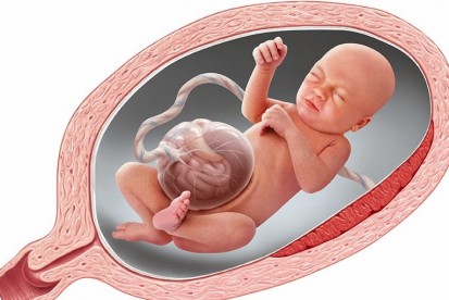 Anne Karnındaki Bebekte Gastroşizis ve Omfalosel Tehlikeleri