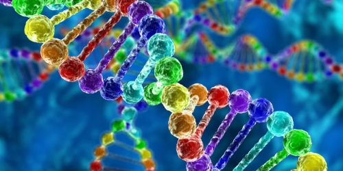 Genetik Danışmanlığın Önemi